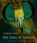 Cover of For Love of Insects