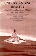 Cover of Understanding Reality
