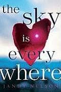Cover of The Sky Is Everywhere