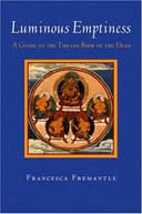 Cover of Luminous Emptiness